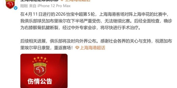 九游娱乐app下载-海港确认外援加布里埃尔髌腱断裂，但赛季初被雪藏的梅伦多能回归吗？